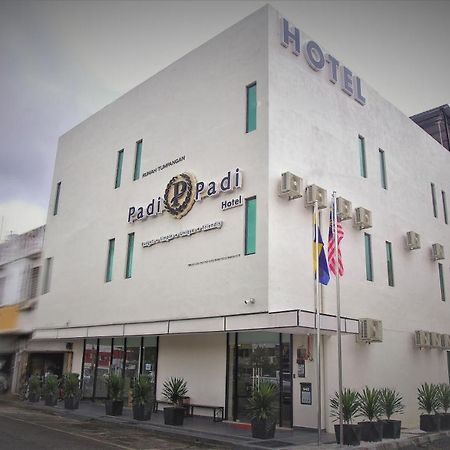 Padi Padi Hotel 加央 外观 照片